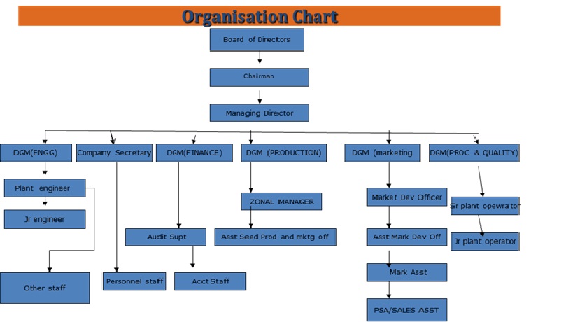 LanceSoft - Org Chart, Teams, Culture & Jobs